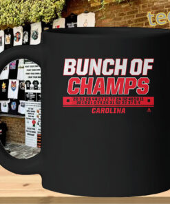 Bunch of Jerks to Bunch of Champs Shirt - Carolina Hockey mug