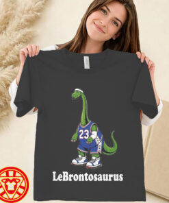 LeBron James Philadelphia 76ers Tee-women-design