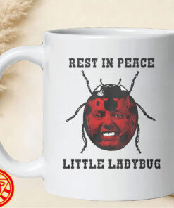 Rest In Peace Little Ladybug-mug-design