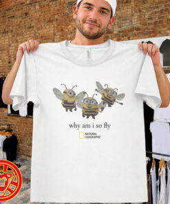 Why Am I So Fly Minion Bee-men-design