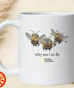 Alternative view of Why Am I So Fly Shirt – Minions Parody Graphic Tee