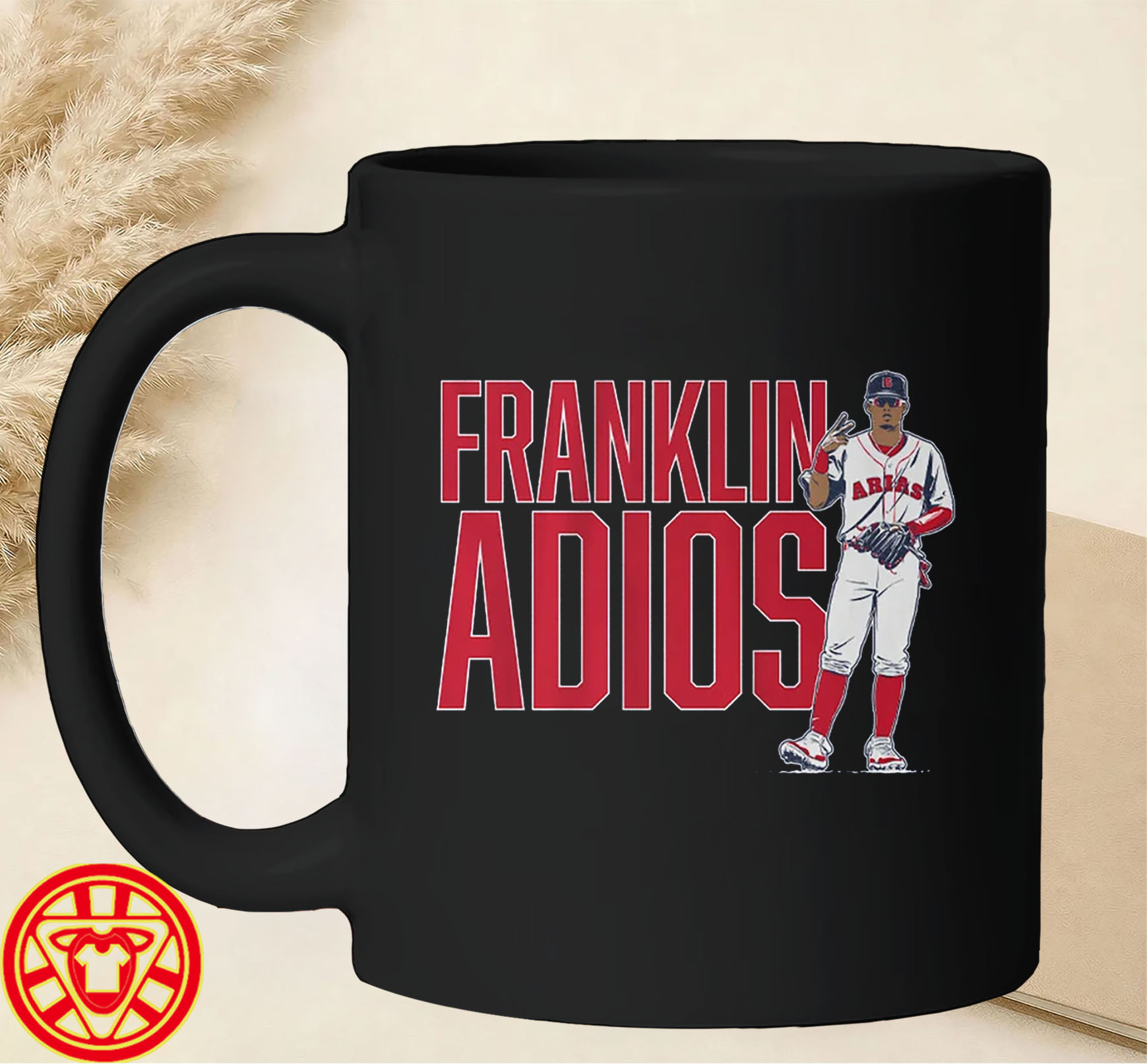 Franklin Arias Franklin Adios-mug-design