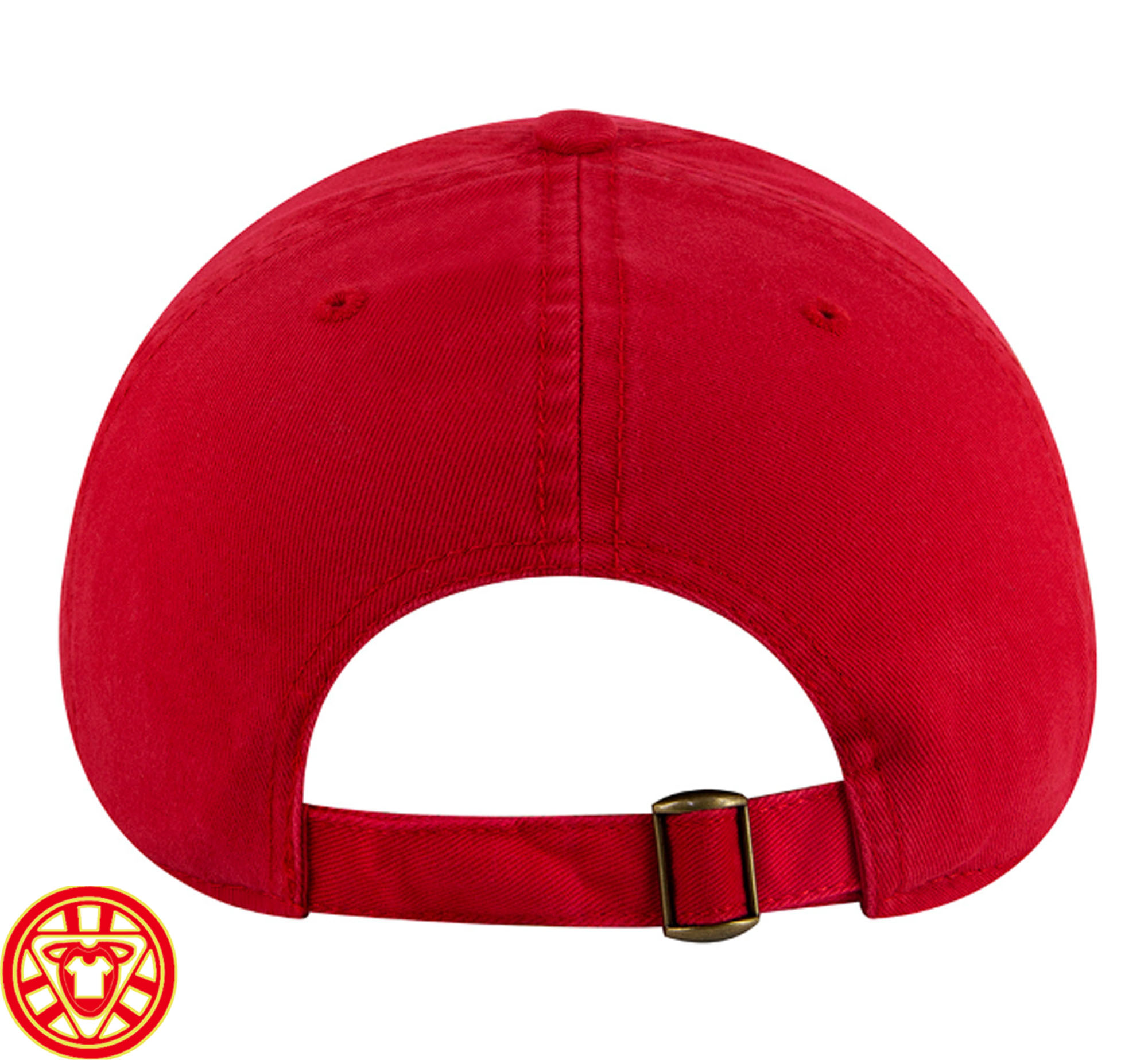 I Lost to Trump Hat 2026-Design