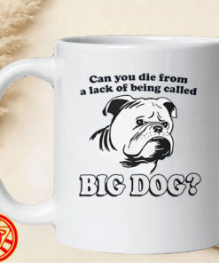 Can You Die From A Lack Of Being Called Big Dog mug-design