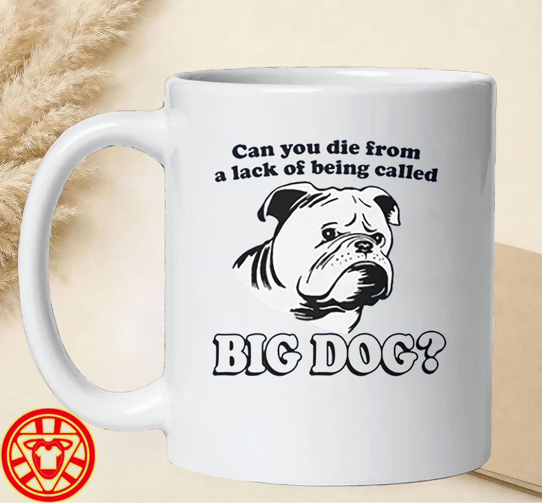 Can You Die From A Lack Of Being Called Big Dog mug-design