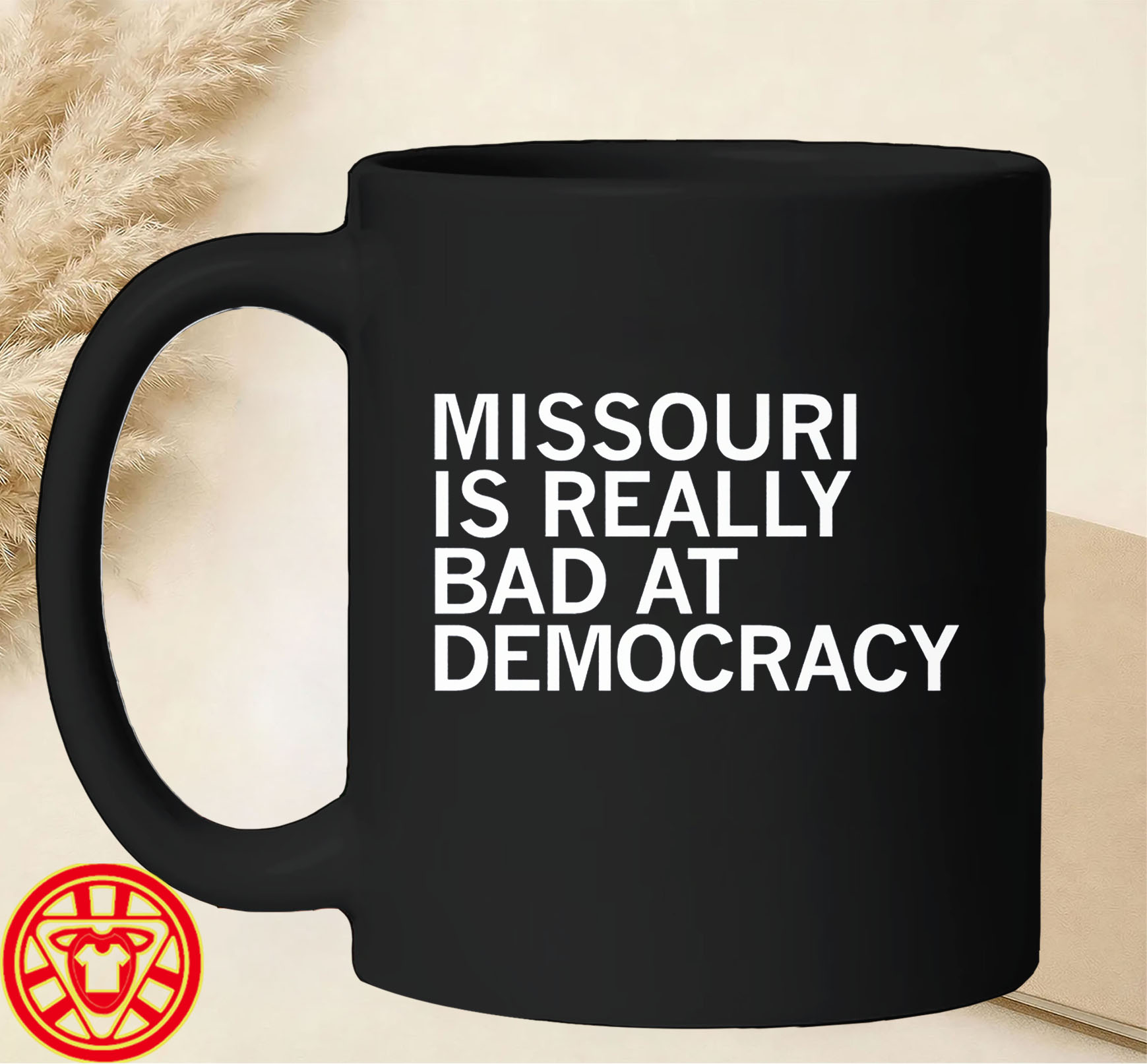 Missouri Is Really Bad At Democracy-mug-design