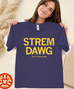 Taylor Stremlow Iowa Basketball women-design