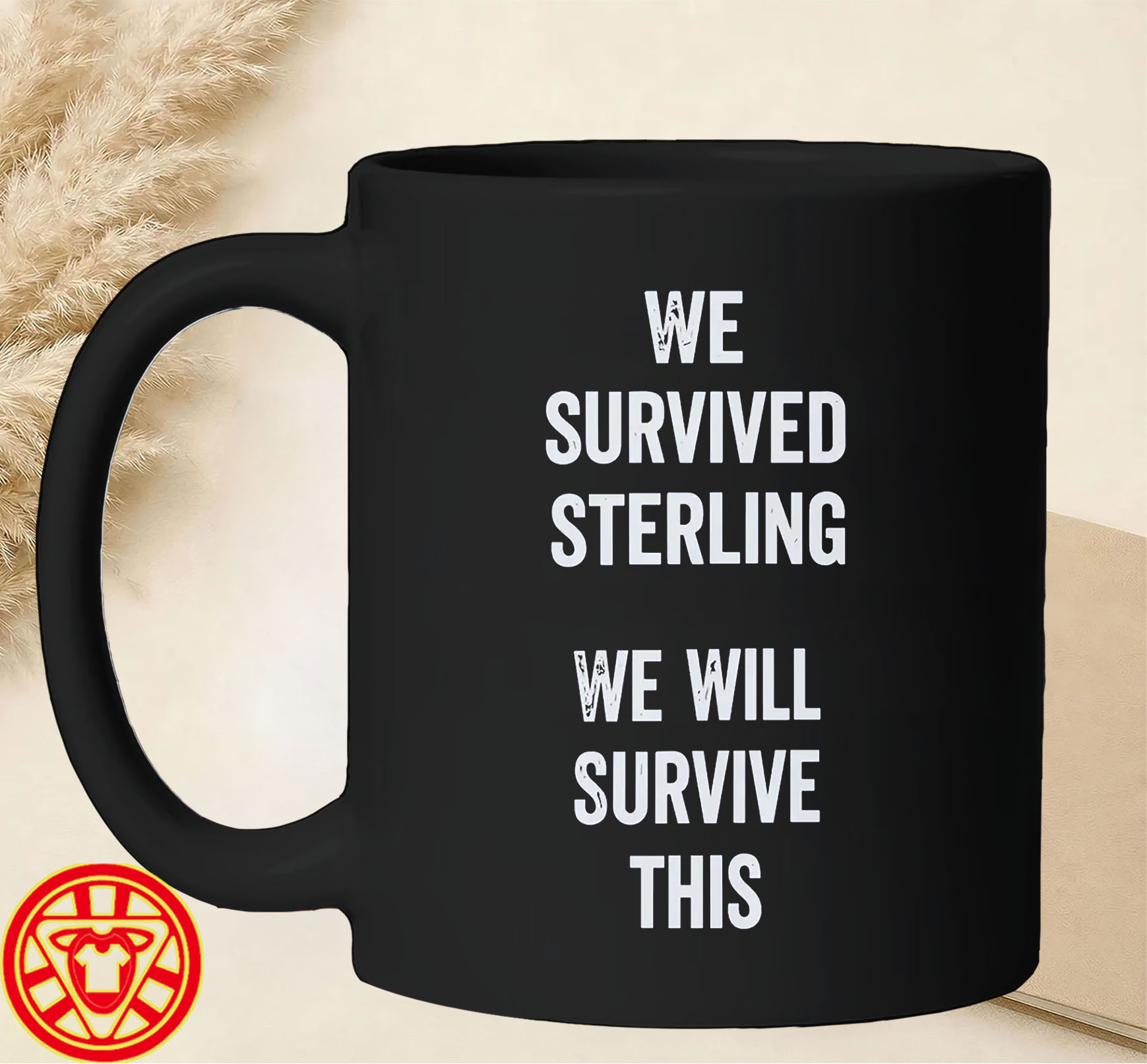 We Survived Sterling We Will Survive This mug-design